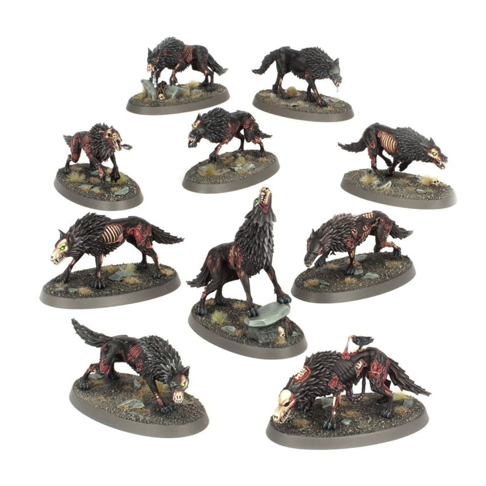 Warhammer: age of sigmar Soulblight Gravelords: Dire Wolves