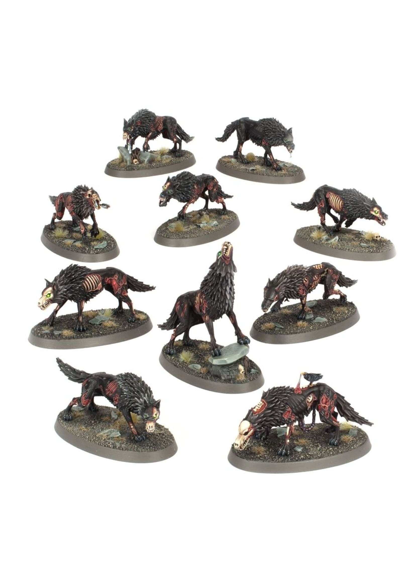 Warhammer: age of sigmar Soulblight Gravelords: Dire Wolves