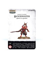Warhammer: age of sigmar Blades of Khorne: Bloodmaster Herald of Khorne