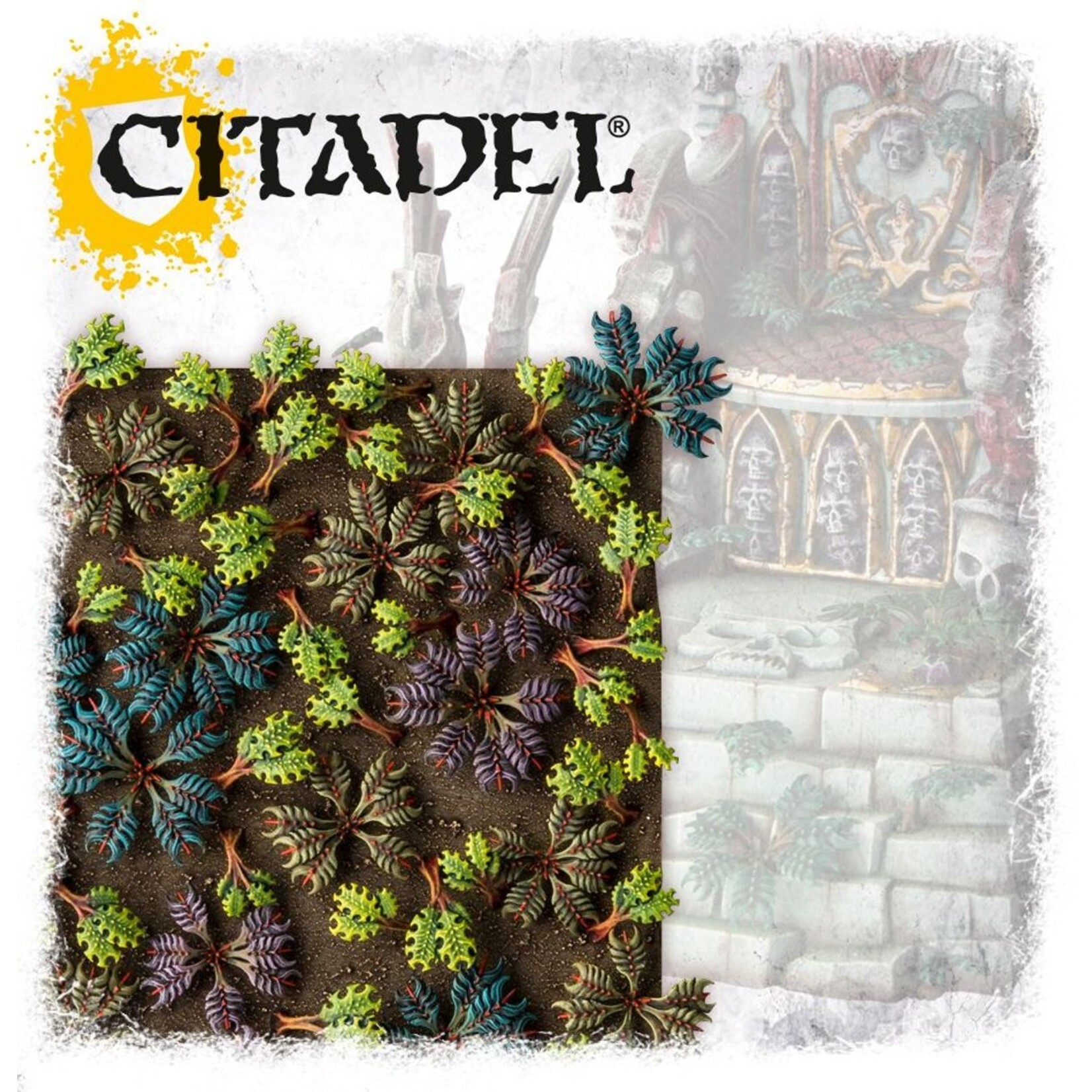 citadel Citadel: Barbed Bracken