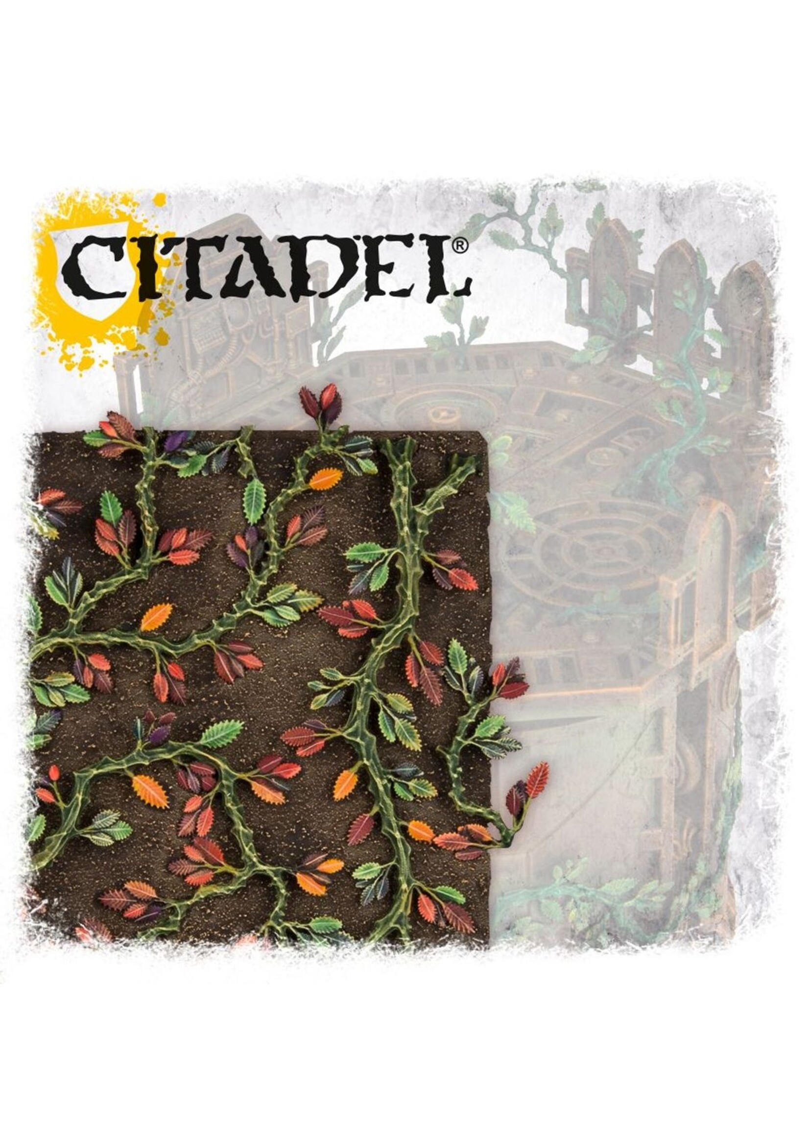 citadel  Creeping Vines