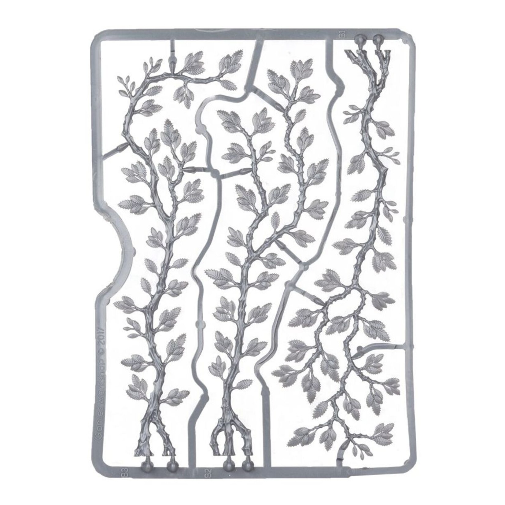 citadel  Creeping Vines