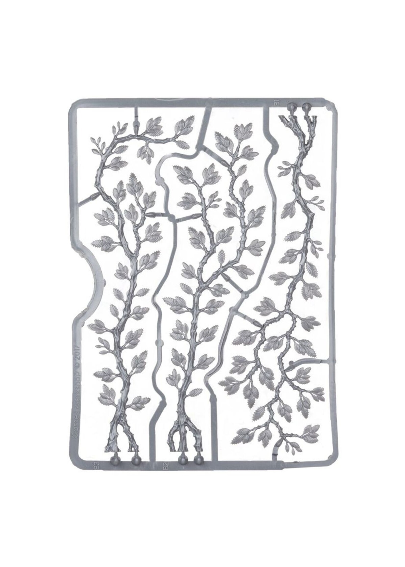 citadel  Creeping Vines