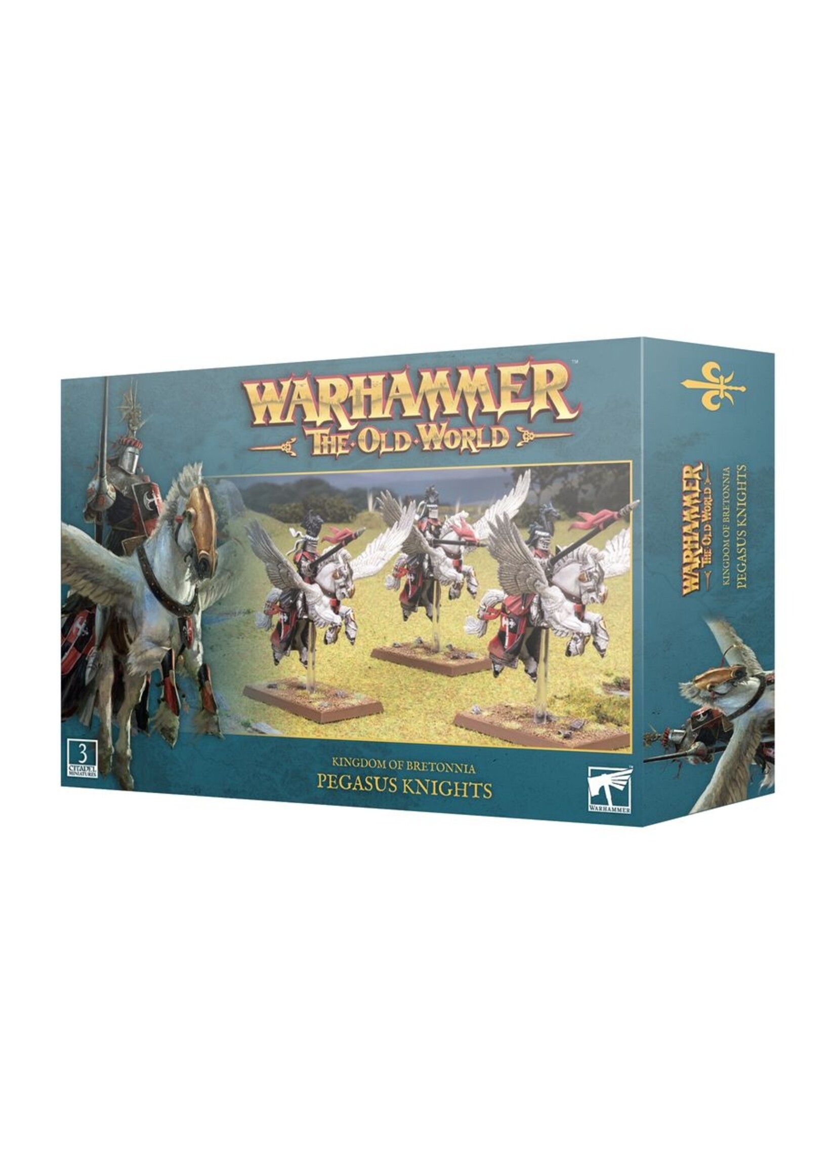 warhammer the old world Kingdom of Bretonnia: Pegasus Knights