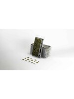 GamersGrass Dumb Cane - Laser Plants - GamersGrass