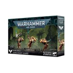 Warhammer: 40.000 Blood Angels: Sanguinary Guard