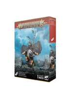 Warhammer: age of sigmar Stormcast Eternals: Iridan The Witness