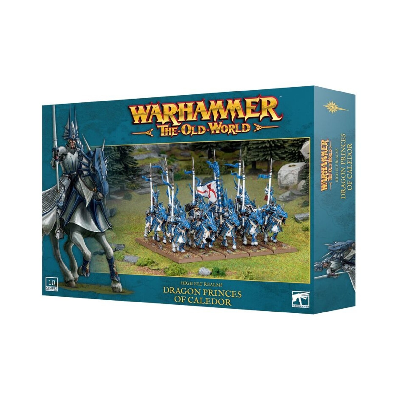 warhammer the old world High Elf Realms:dragon Princes O/caledor