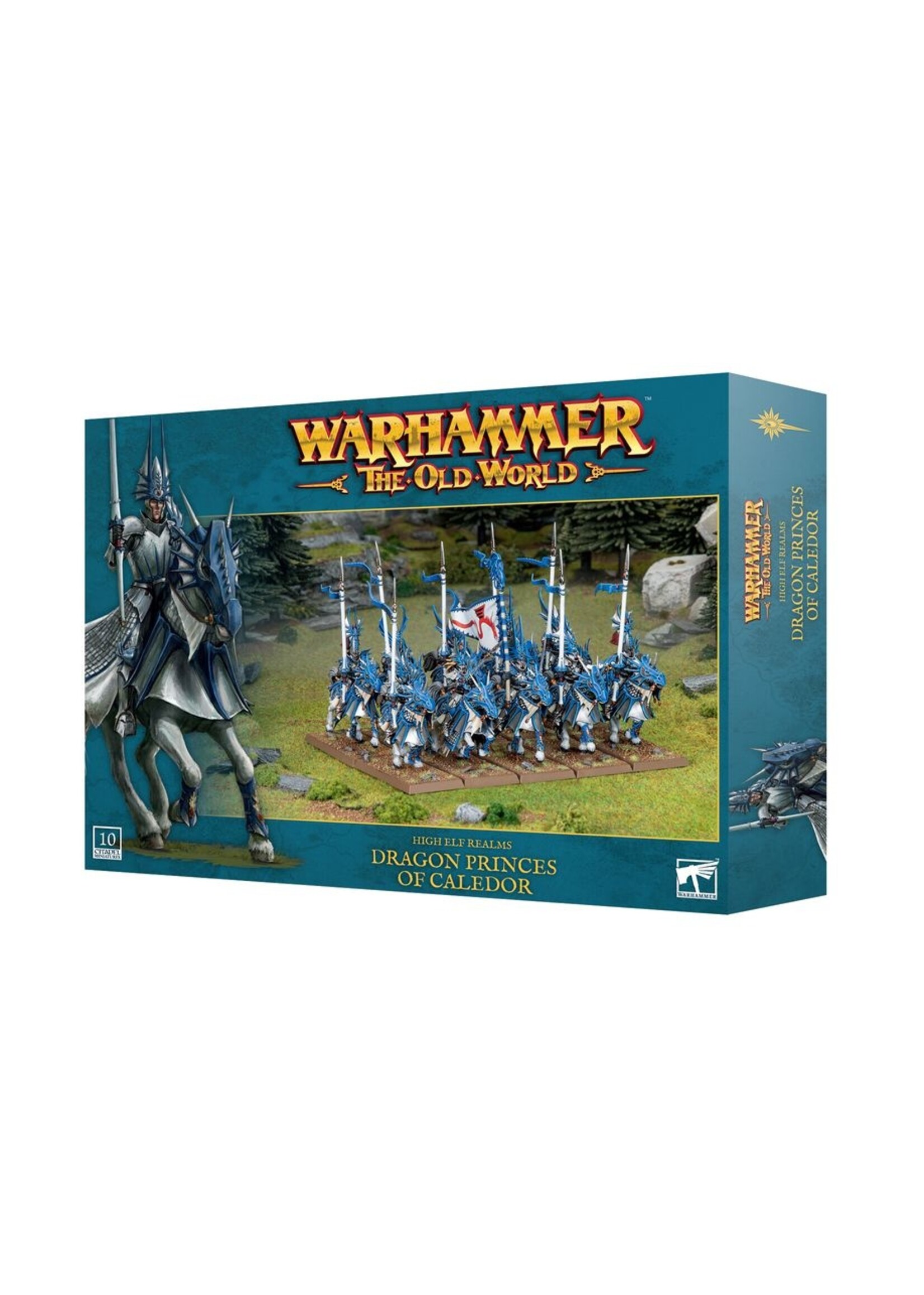 warhammer the old world High Elf Realms:dragon Princes O/caledor