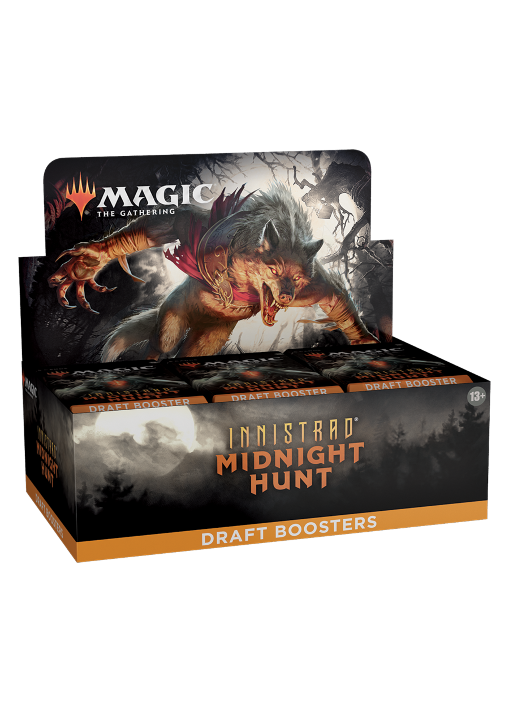 Magic the gathering Midnight hunt: Draft Box