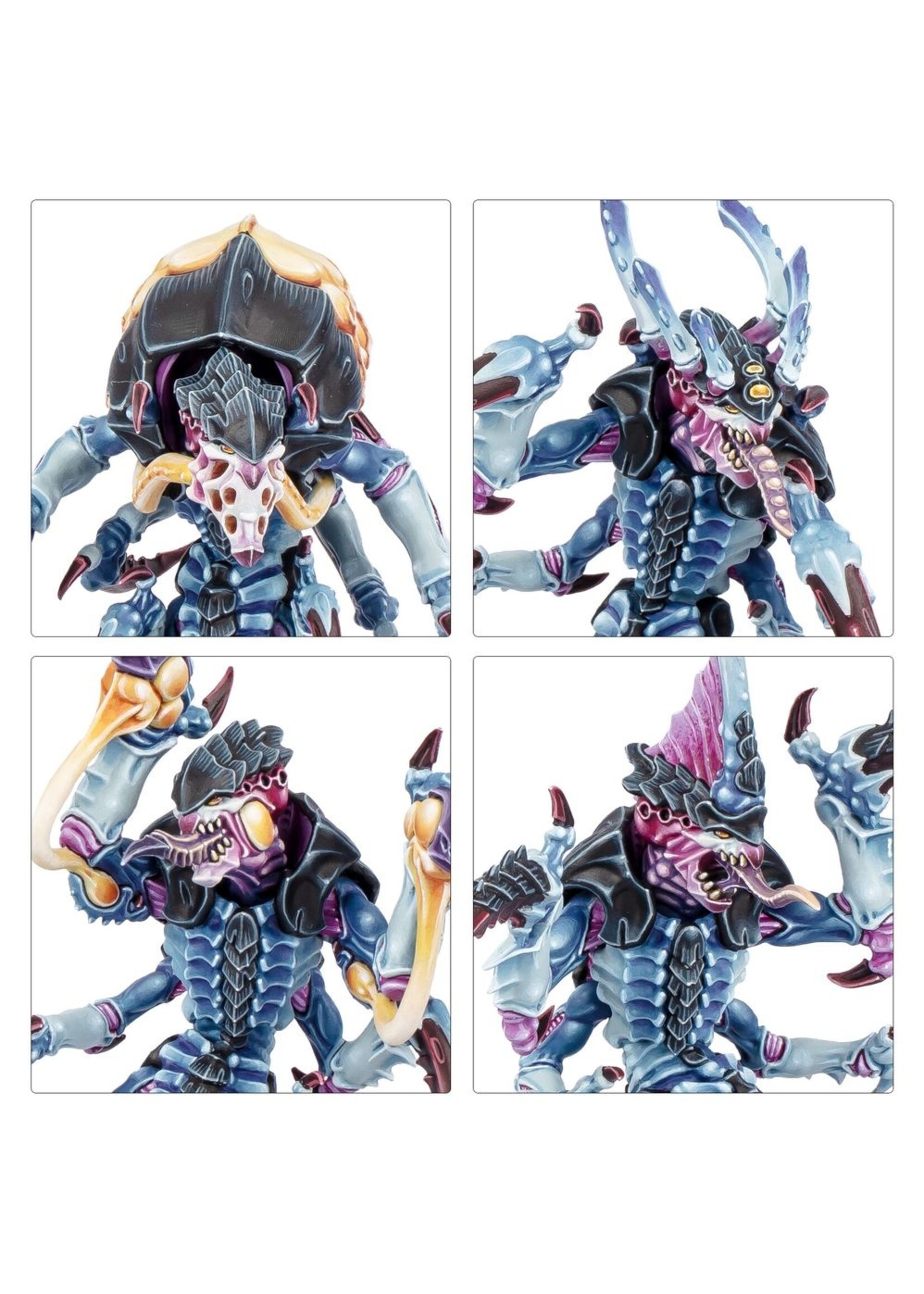 warhammer: Kill Team (Preorder: ships on 28/06) Kill Team: Typhon (English)
