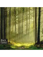 Feuerland Spiele Black Forest - EN