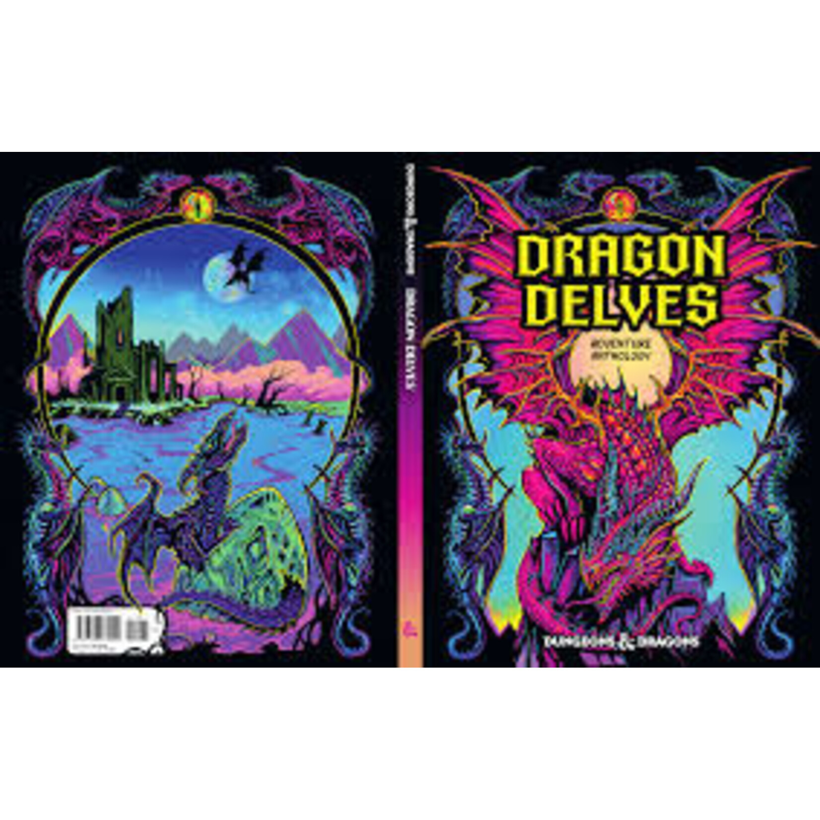 Dungeons & Dragons D&D Dragon Delves Alt Cover - EN