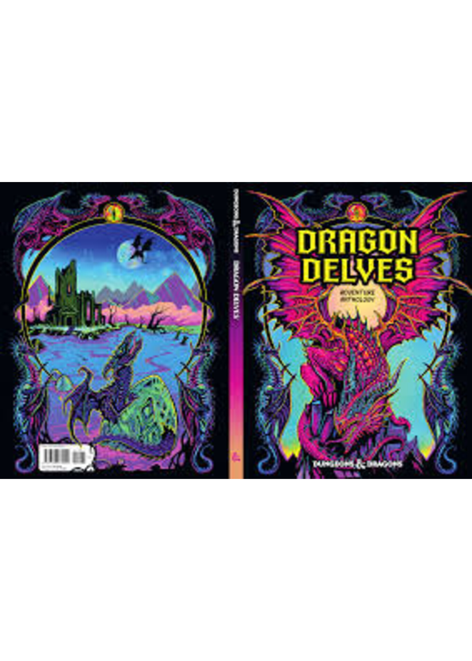 Dungeons & Dragons D&D Dragon Delves Alt Cover - EN
