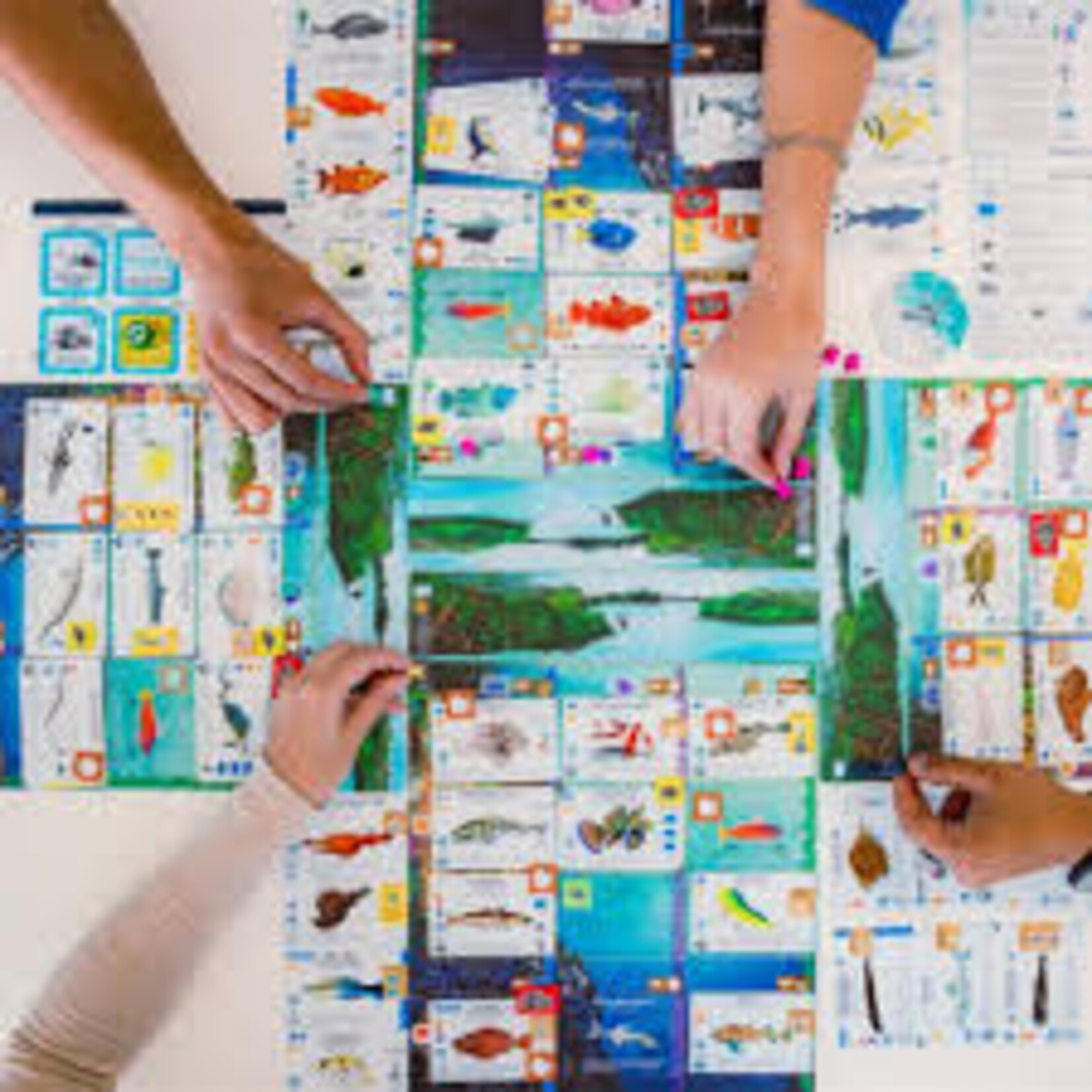 Stonemaier Games Finspan - EN