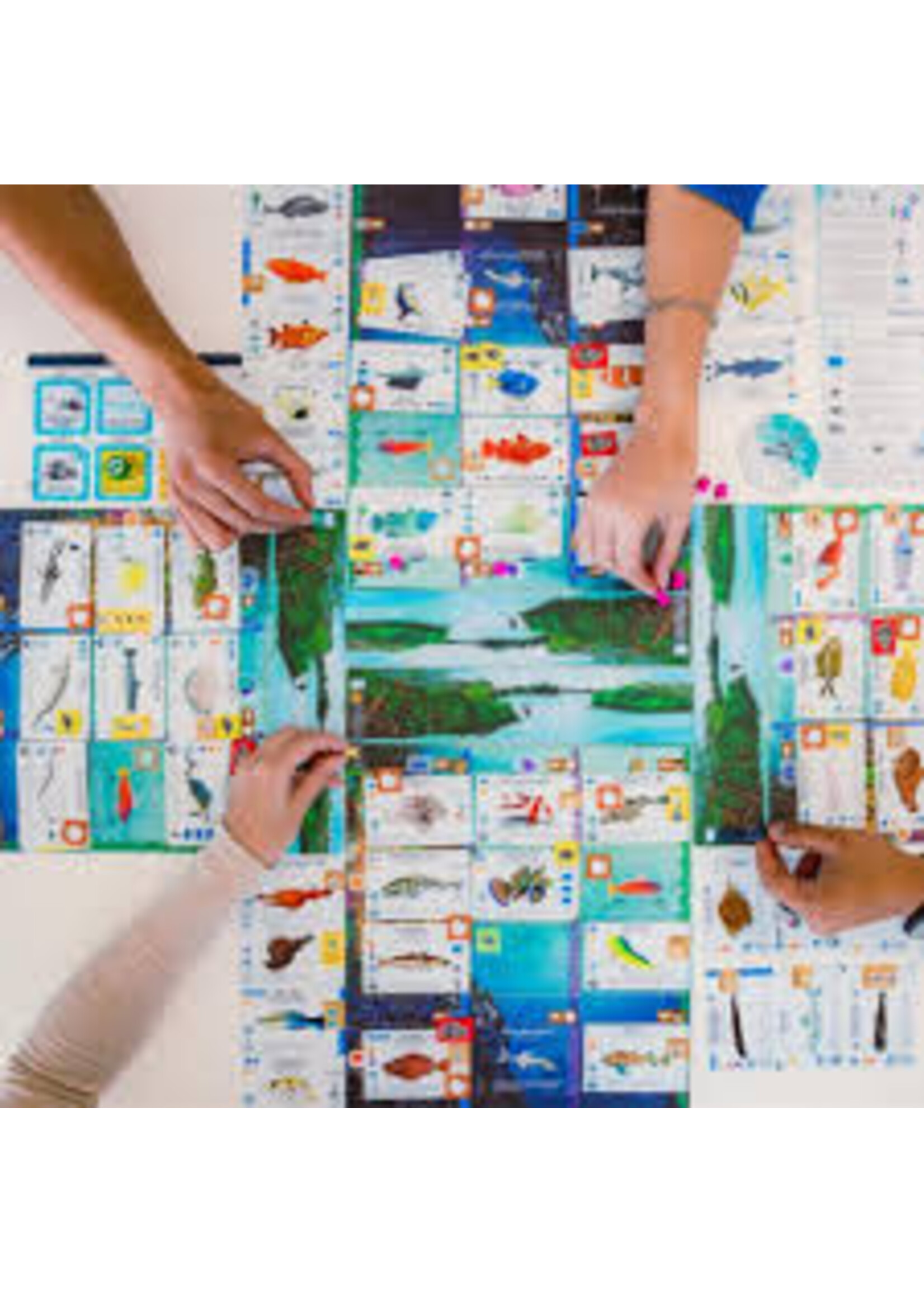 Stonemaier Games Finspan - EN