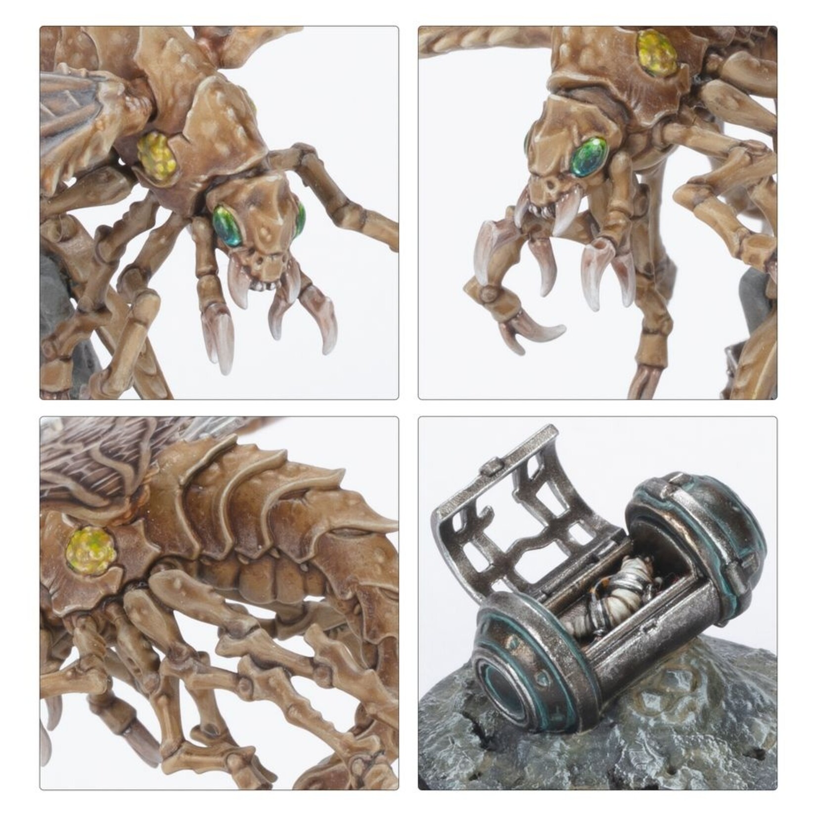 Necromunda: Nomads Ashwing Helamites