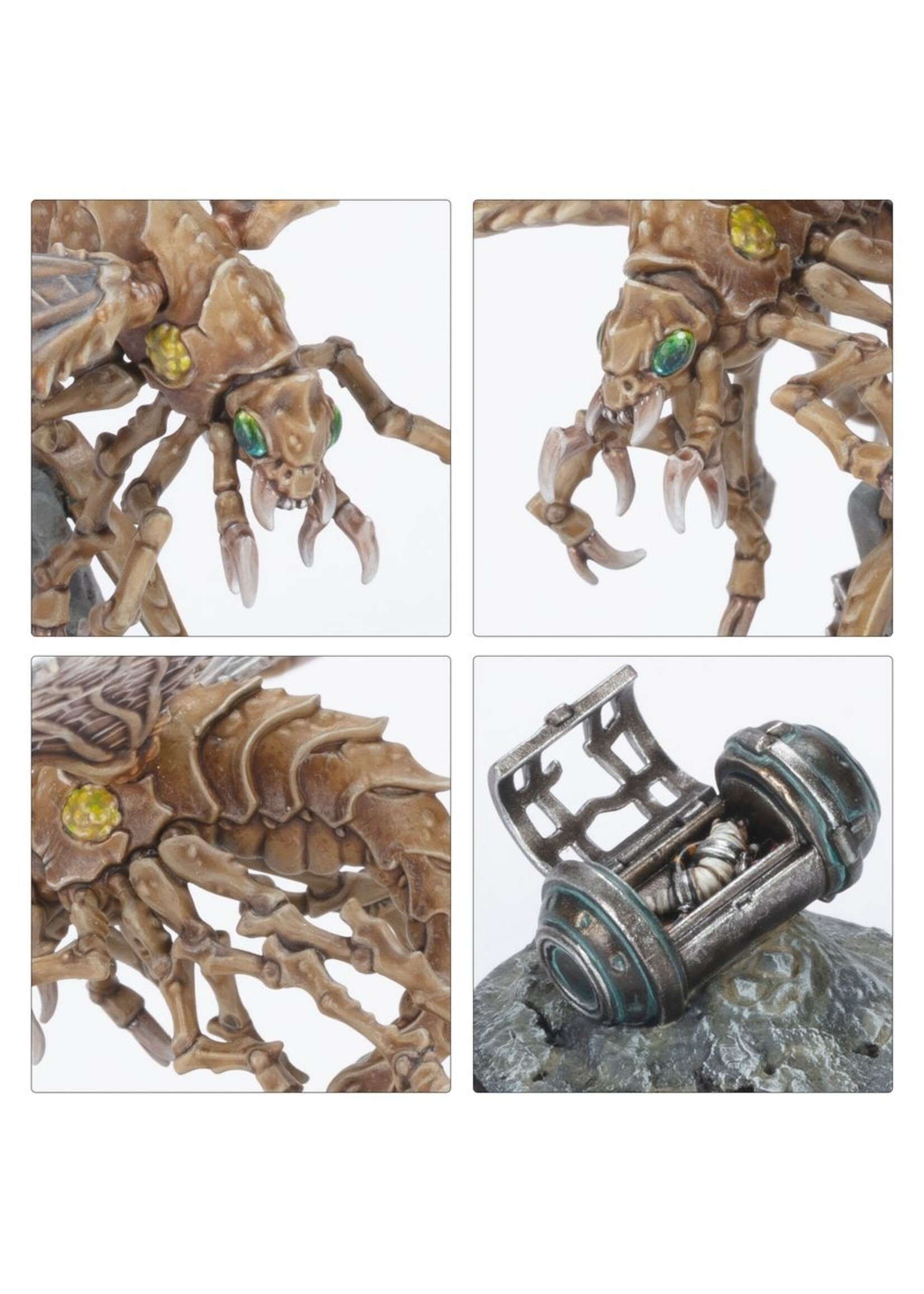 Necromunda: Nomads Ashwing Helamites