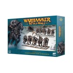 warhammer the old world Warriors Of Chaos:Chaos Marauder Horsemen