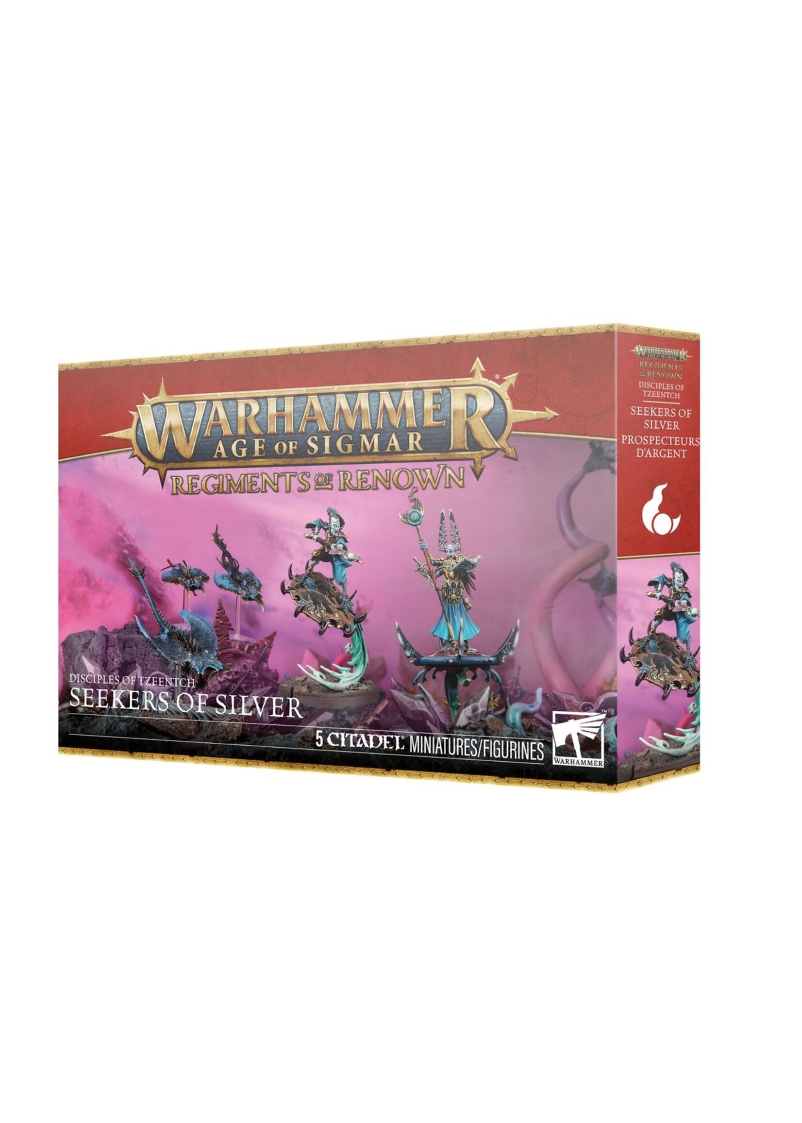Warhammer: age of sigmar Disciples Of Tzeentch: Seekers Of Silver
