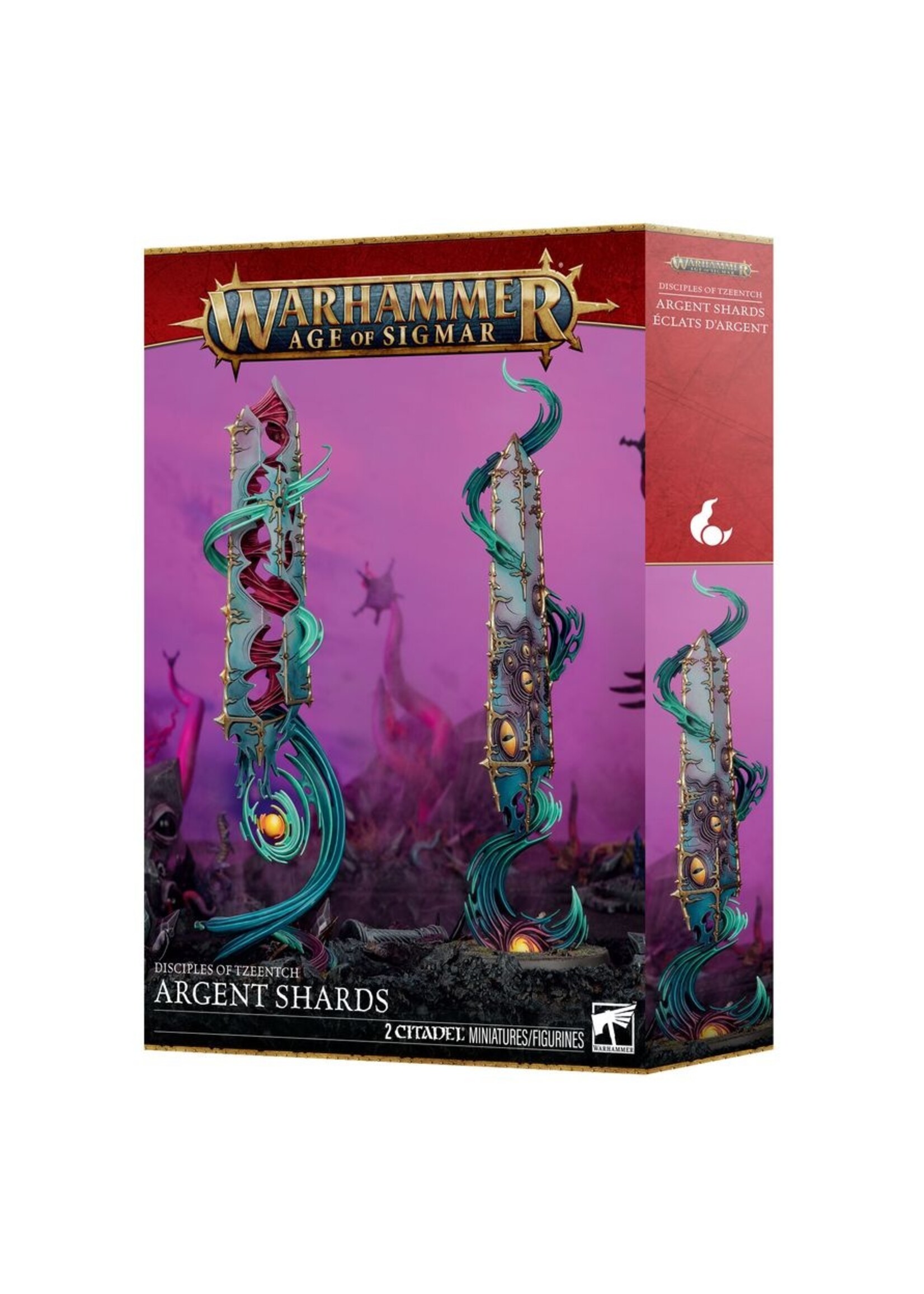 Warhammer: age of sigmar (Ships 21/2) Disciples Of Tzeentch: Argent Shards