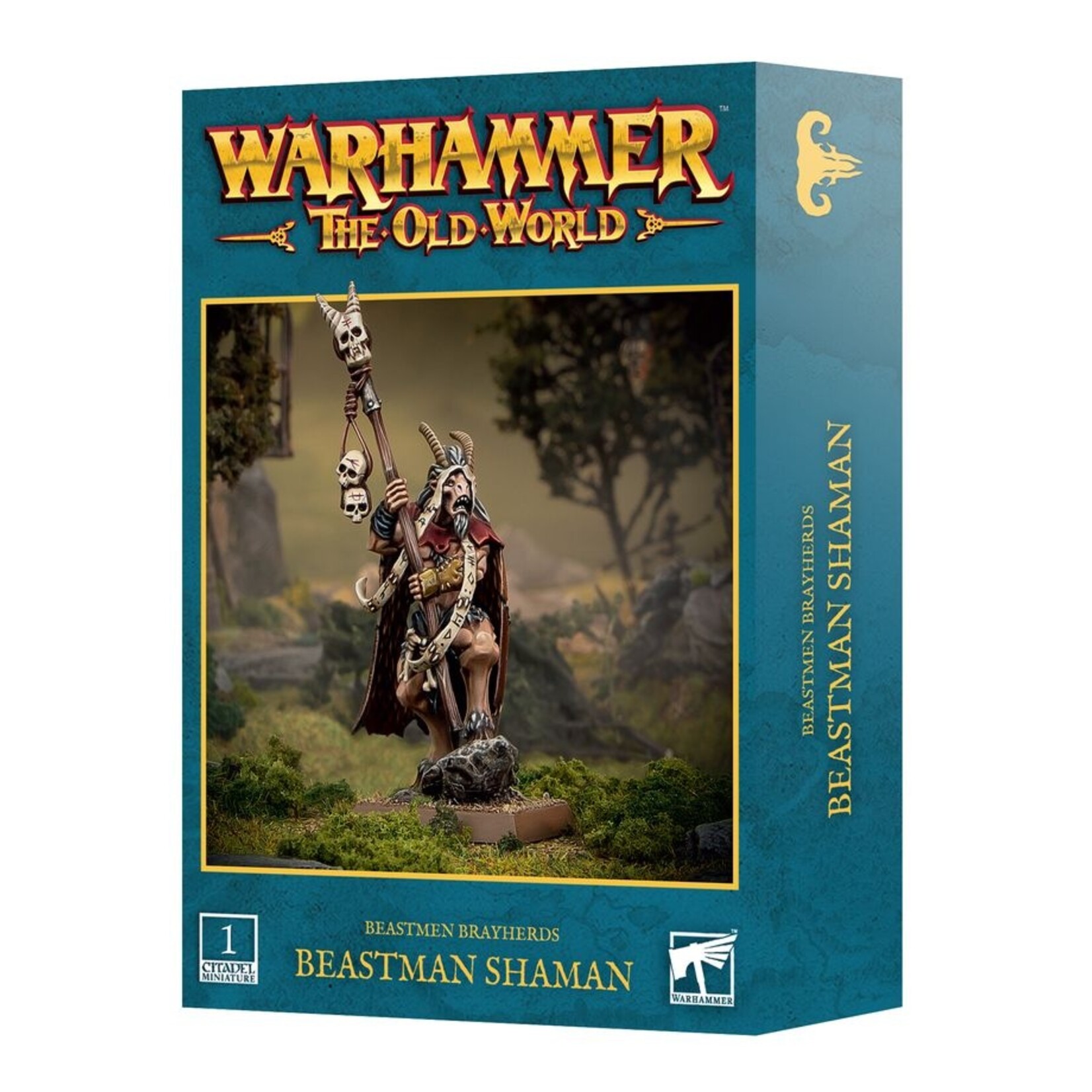 warhammer the old world Beastmen Brayherds: Beastman Shaman