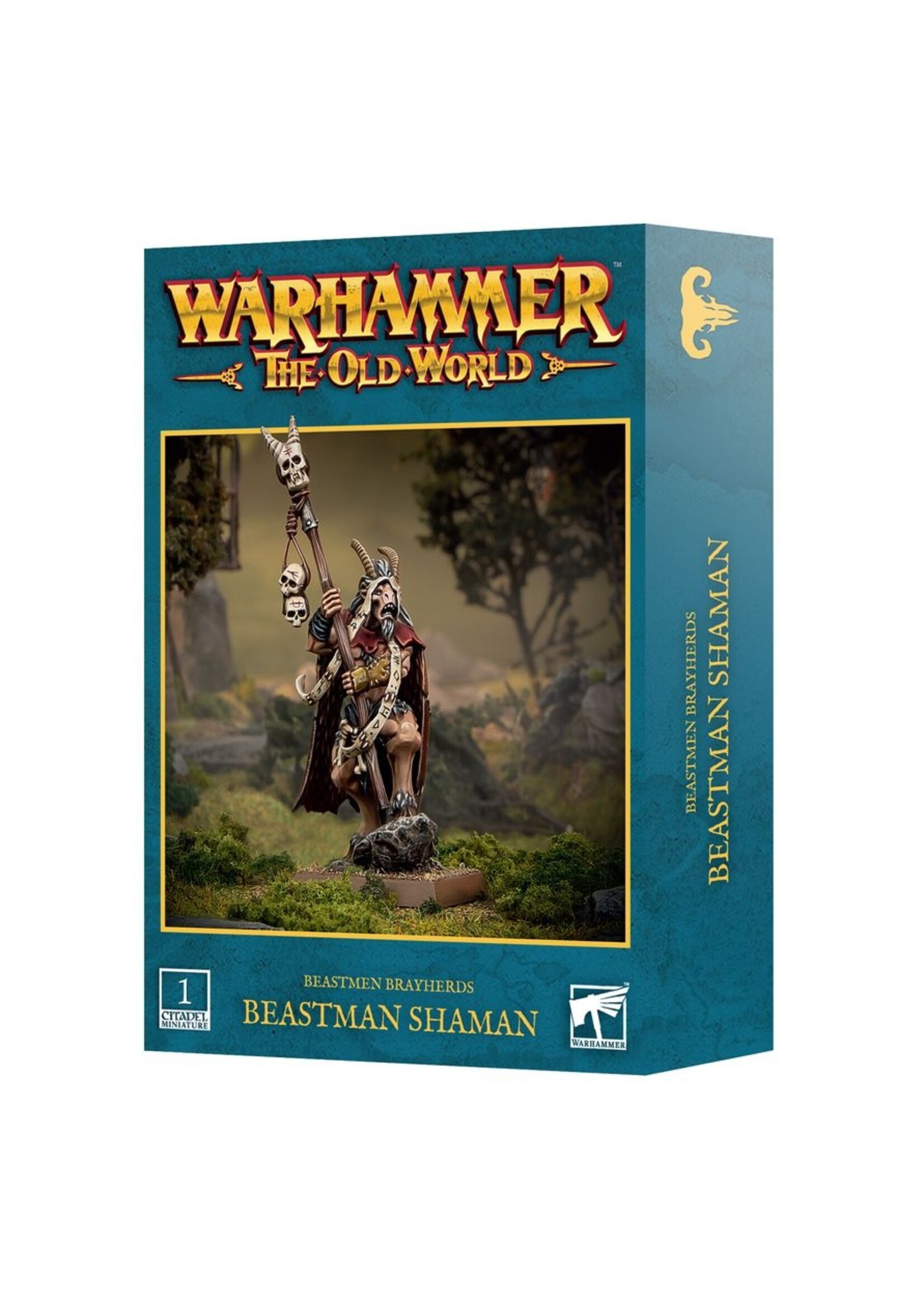 warhammer the old world Beastmen Brayherds: Beastman Shaman