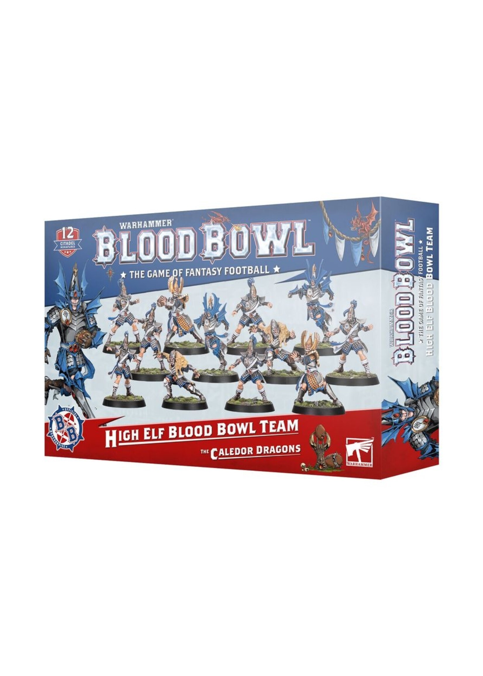blood bowl (ships 28/03) Blood Bowl: High Elf Blood Bowl Team