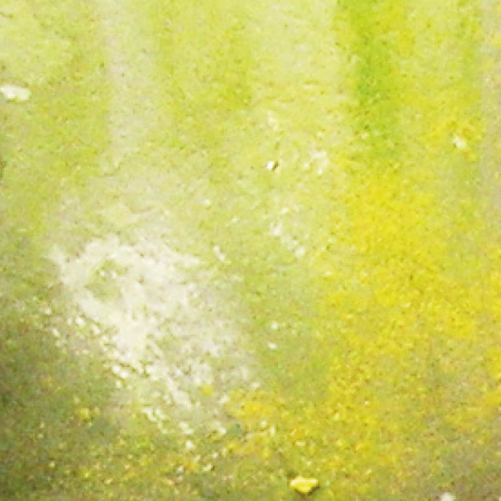 Vallejo Vallejo Weathering Effects: Slimy Grime Light