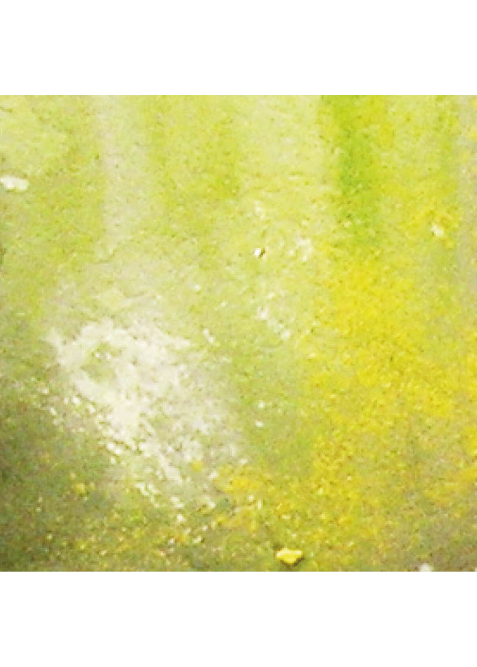 Vallejo Vallejo Weathering Effects: Slimy Grime Light