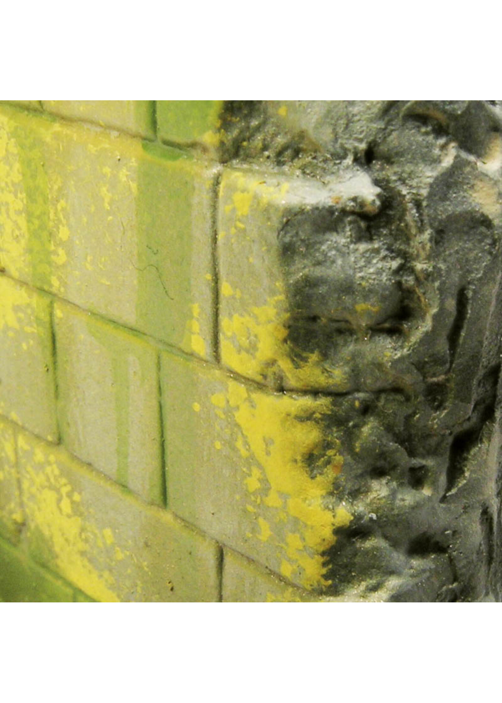 Vallejo Vallejo Weathering Effects: Moss and Lichen