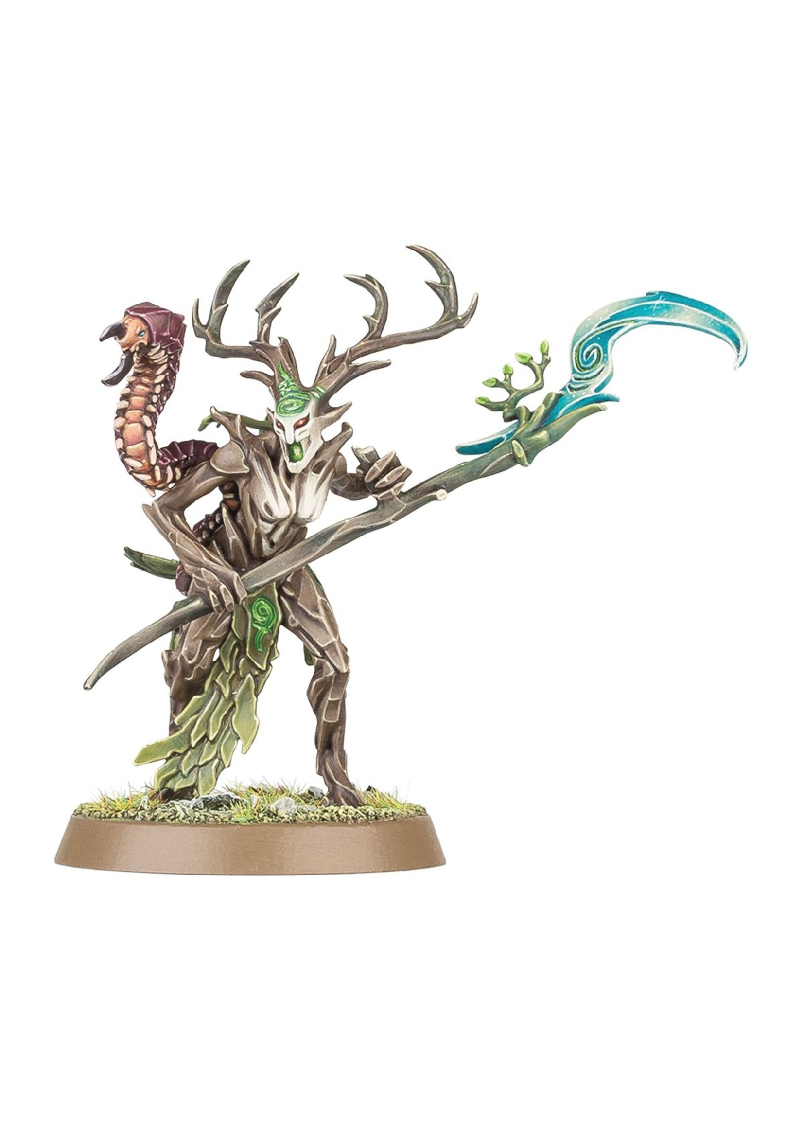 Warhammer: age of sigmar (Pre-order 11/04) Sylvaneth: The Twisted Branch