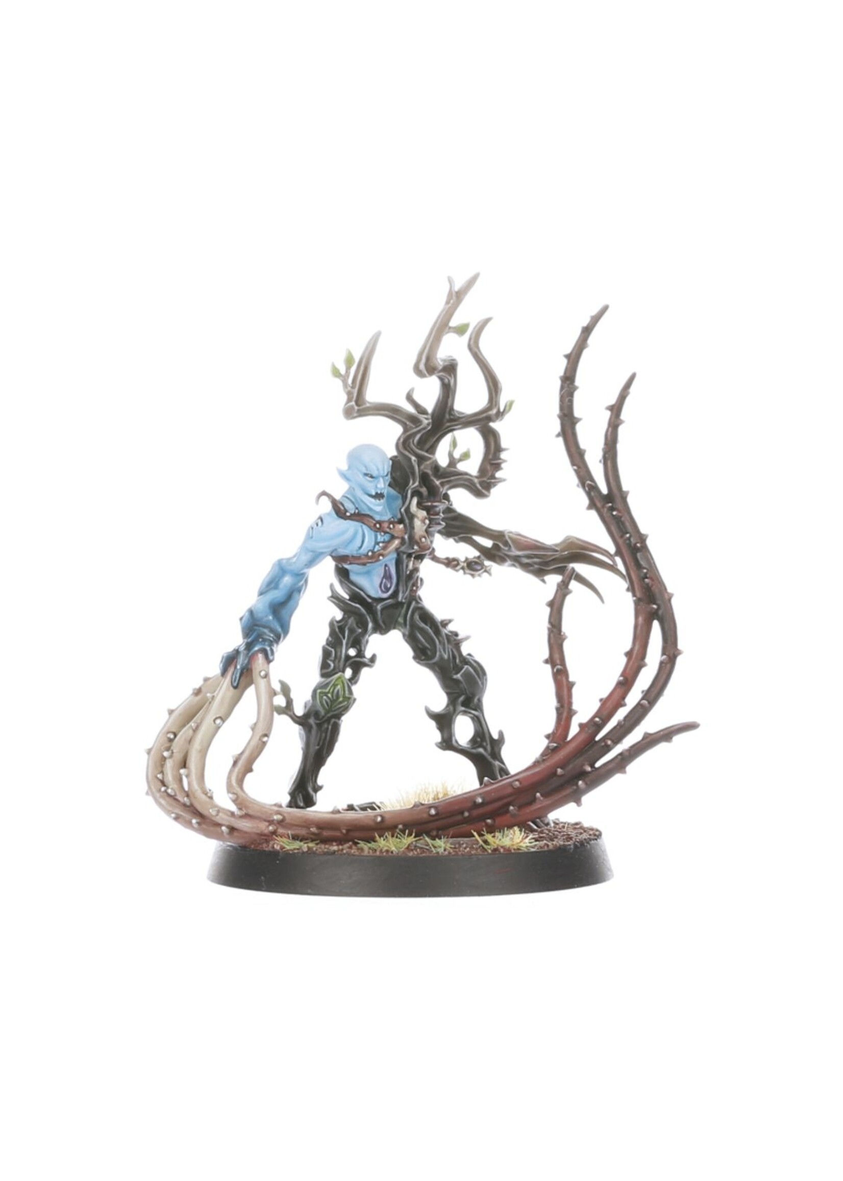 Warhammer: age of sigmar (Pre-order 11/04) Sylvaneth: The Twisted Branch