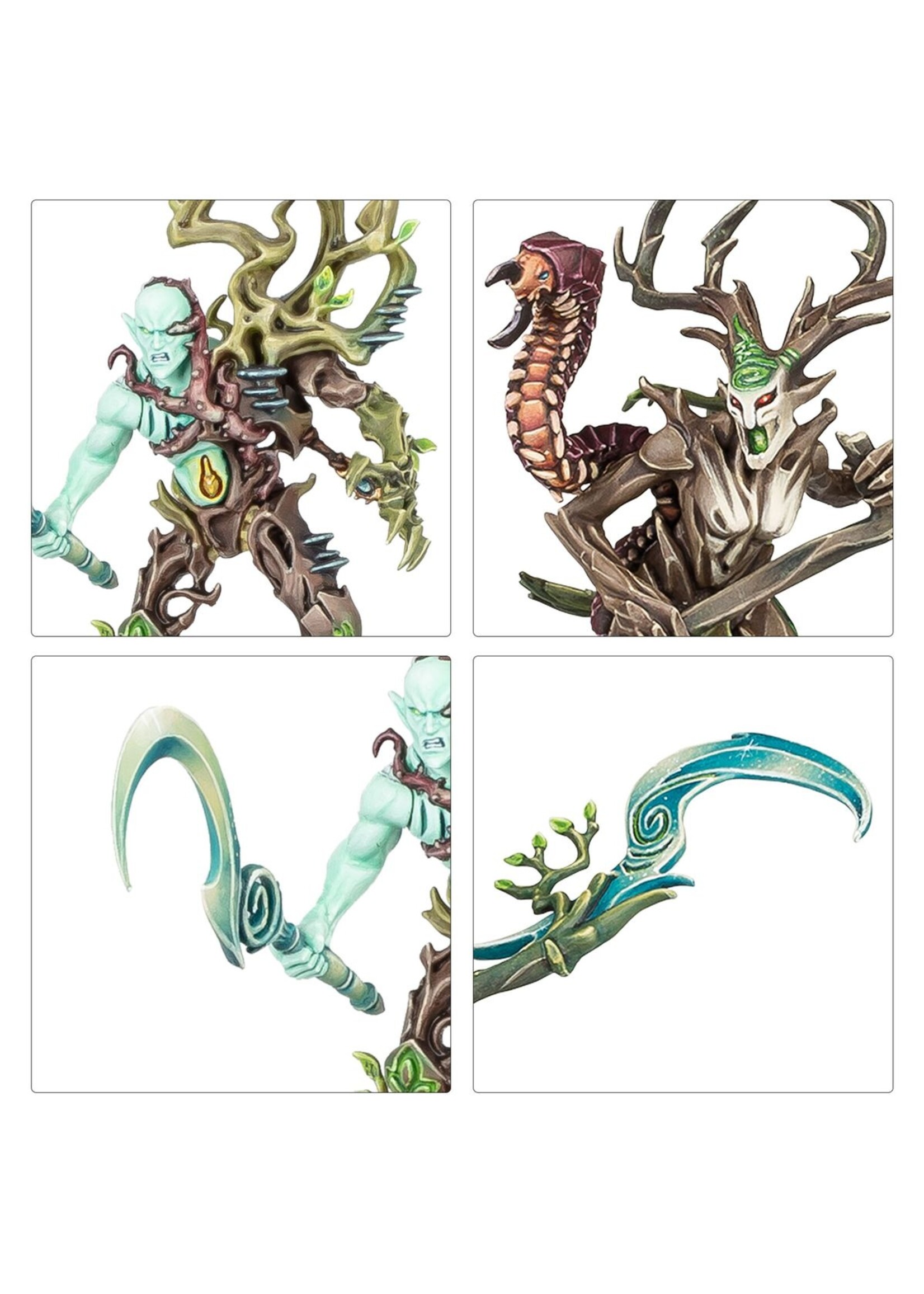 Warhammer: age of sigmar (Pre-order 11/04) Sylvaneth: The Twisted Branch