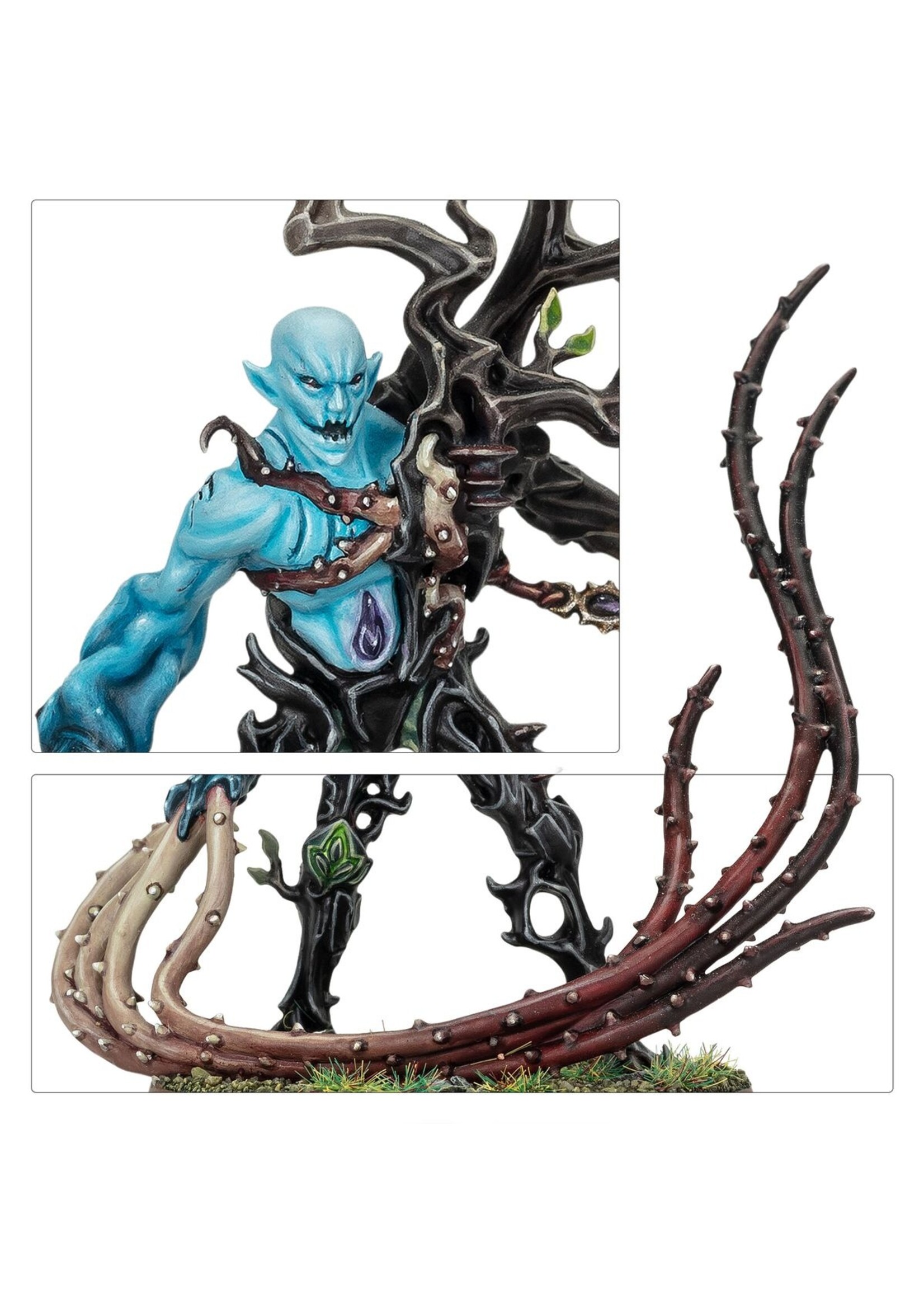 Warhammer: age of sigmar (Pre-order 11/04) Sylvaneth: The Twisted Branch