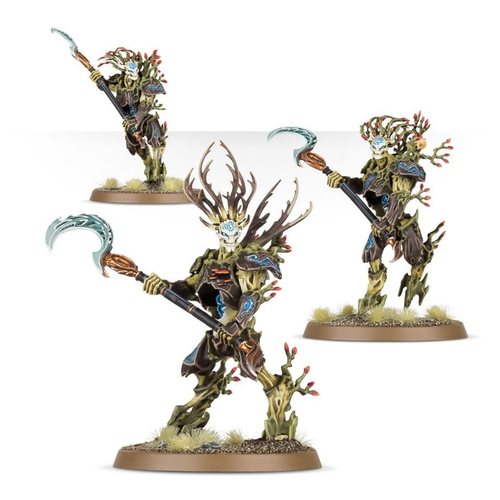 Warhammer: age of sigmar Sylvaneth: Strongroot Grove