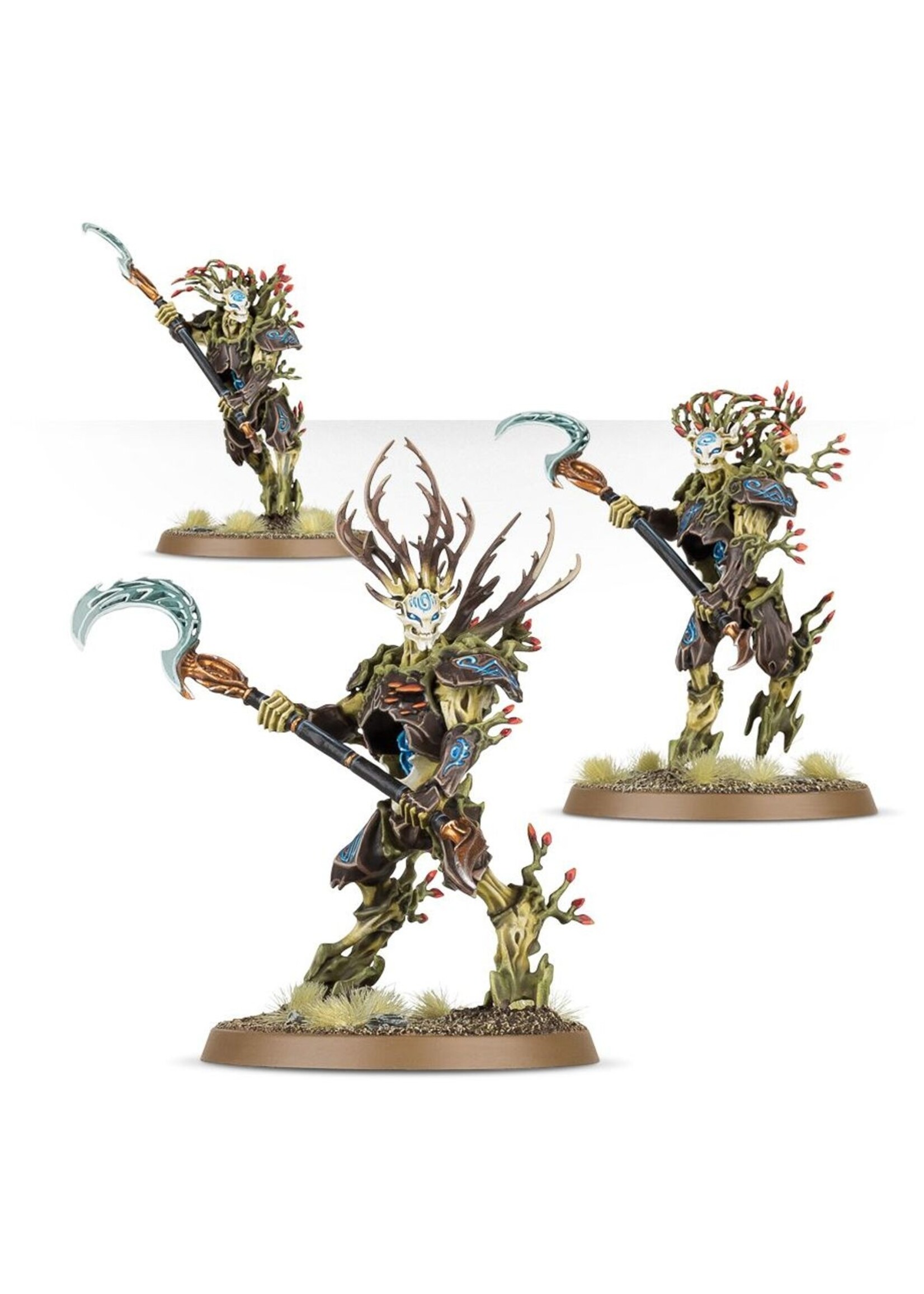 Warhammer: age of sigmar (Pre-order 11/04) Sylvaneth: Strongroot Grove