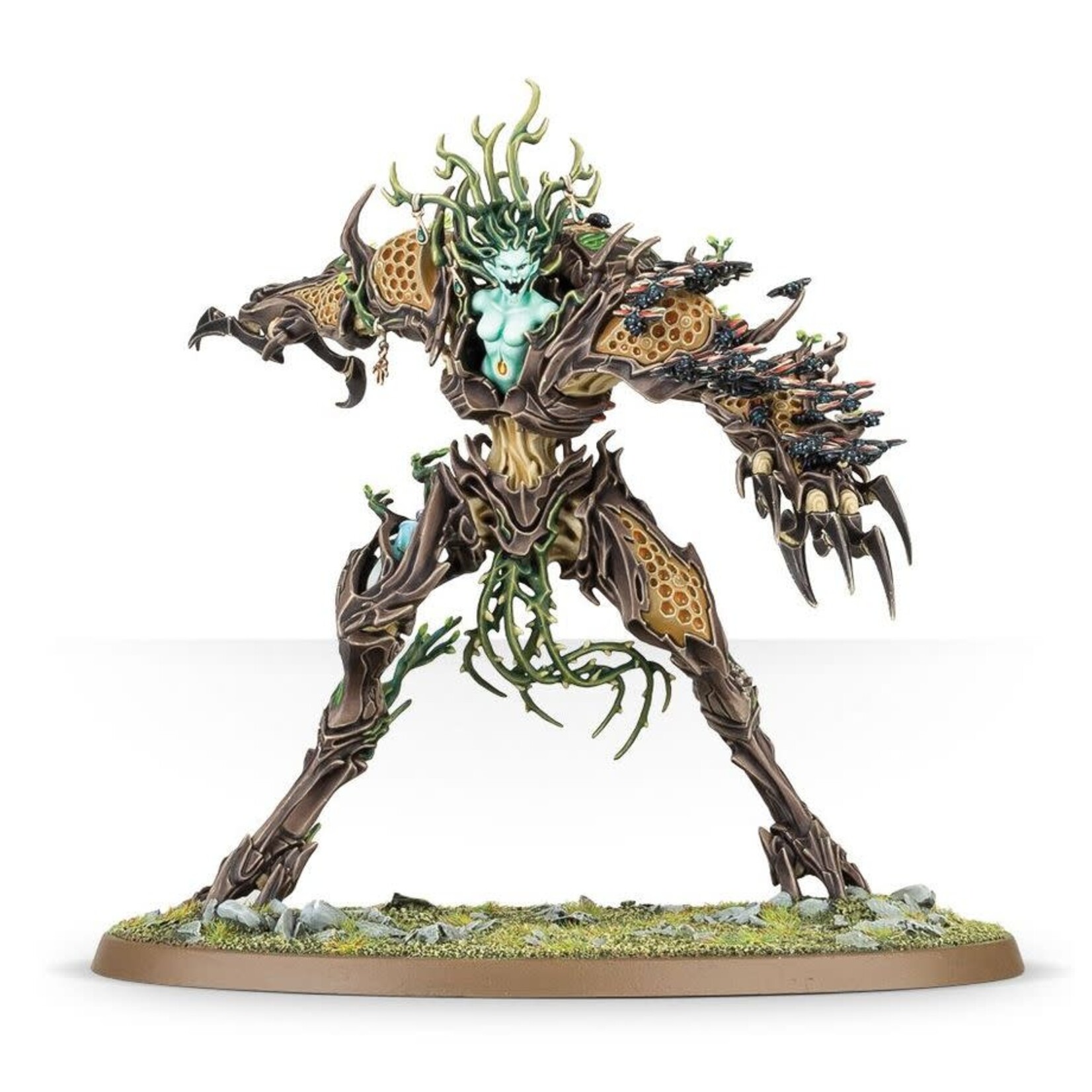Sylvaneth: Drycha Hamadreth ( Online Only )