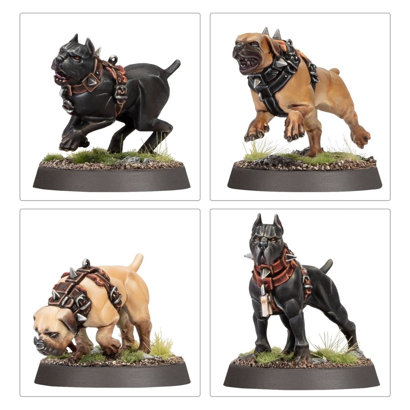 Warhammer: age of sigmar Cities Of Sigmar: Ven Denst'S Hounds ( Pre-Order - Ships 30/05 )
