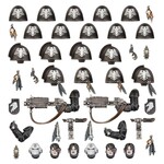 Space Marines: Raven Guard Primaris Upgrades & Transfrs