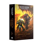Book - Citadel Thh Saga: Galaxy In Flames (Hb)