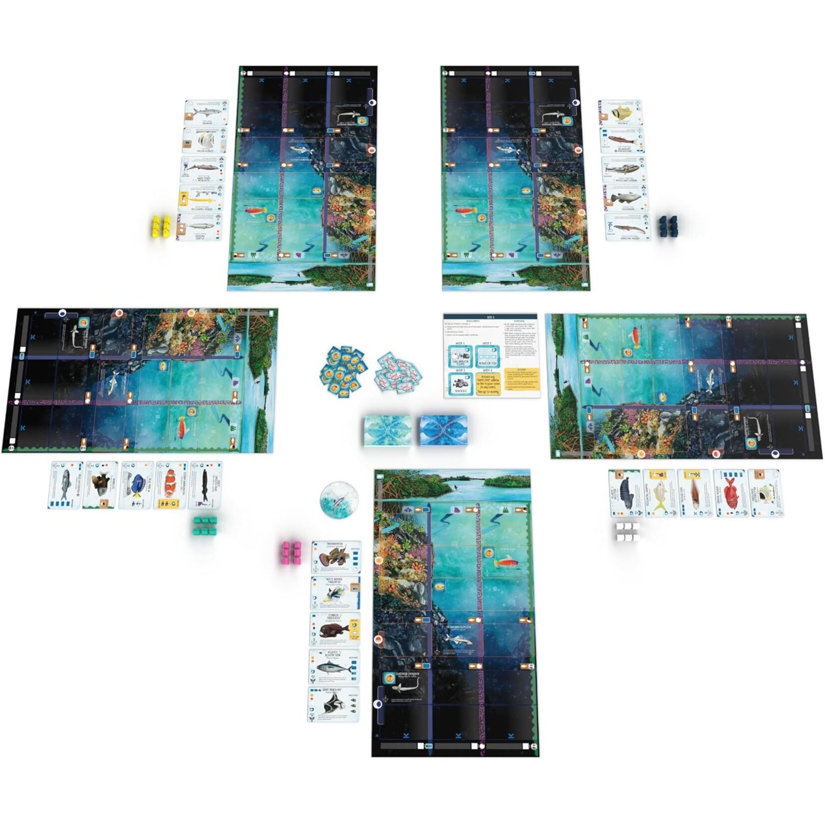 Stonemaier Games Finspan - EN
