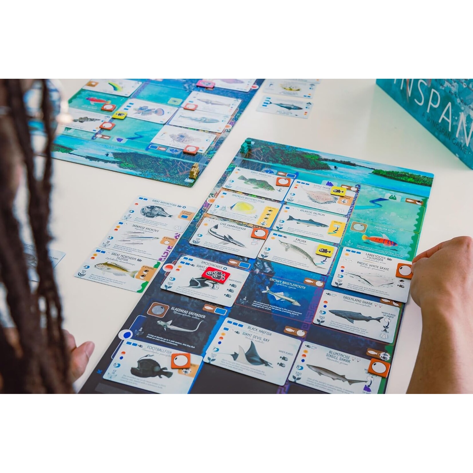 Stonemaier Games Finspan - EN