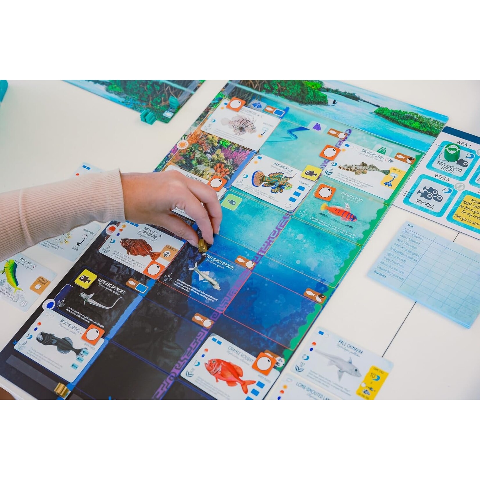 Stonemaier Games Finspan - EN