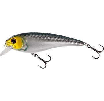 WESTIN Rawbite Crankbait (11cm) (26gr)