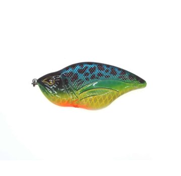 ROZEMEIJER Maori (12m) (57gr)