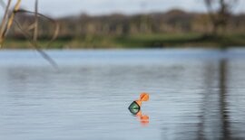 Doodaas vissen op snoek