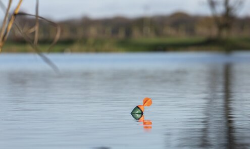Doodaas vissen op snoek