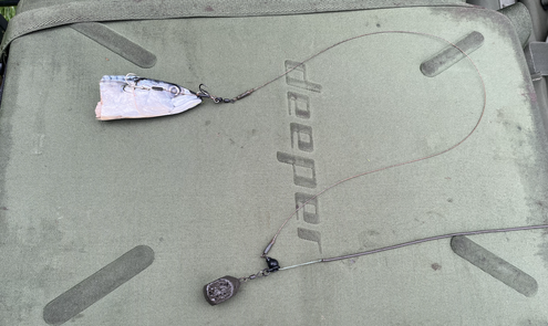 Statisch vissen op snoek