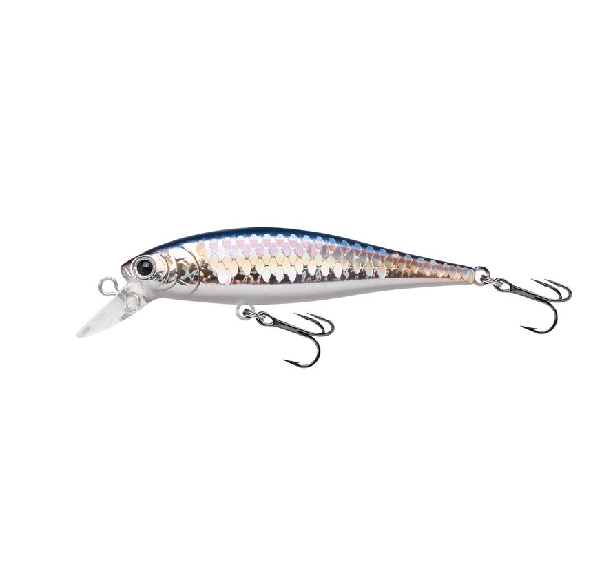 Pointer 65SP (6,5cm) (5gr)